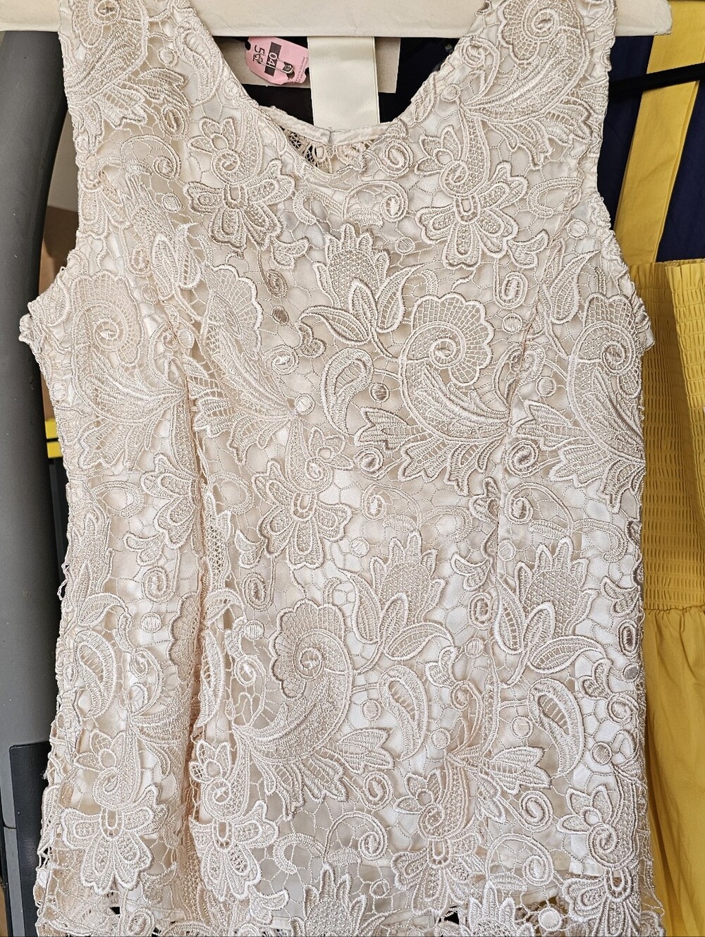 Elegant Women's Lace Dress in Blush